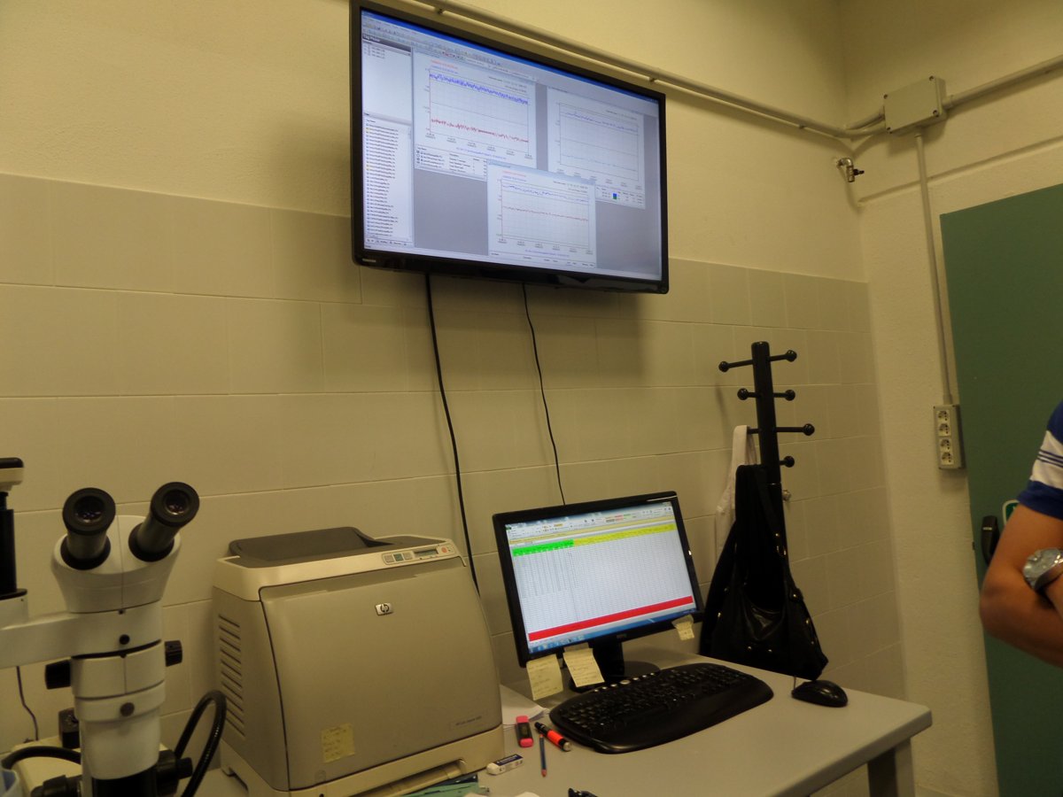 Laboratory and analytics