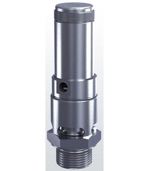 Sicherheitsventil 3/8"-10-FKM--20...200-6