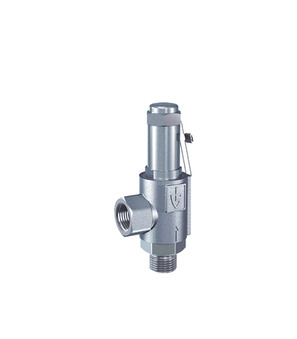 Sicherheitsventil 1/4"-6-1/2"-PTFE-20