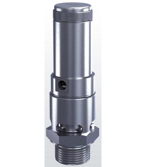 Sicherheitsventil 1"-20-6-FKM--20...200°C