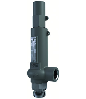 Safety valve 1/2"-6-3/4"-PEEK-FKM-450