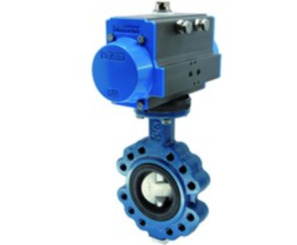 BULG-065-DSV-S12-A