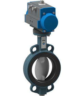 BUW6-250-DPE-D22-ABS54-C001-22-C002-31-LV-1