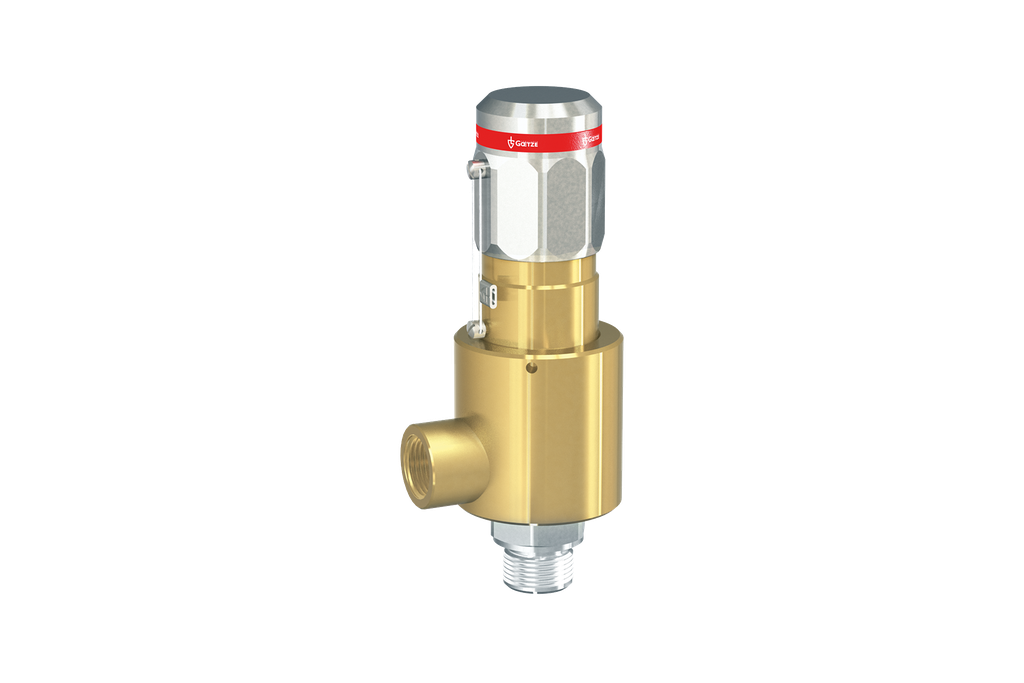 Safety valve 1/4"-6-210