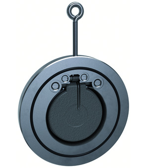 Rückschlagklappe CH064-50-B-PN6