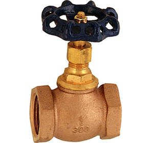Globe valve C81L-1"