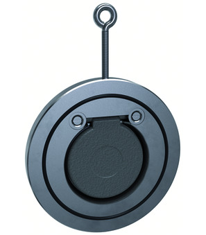 Swing check valve CS-2466B-65