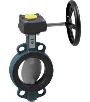 Butterfly valve with manual gear box BUW6-450-DPE-G