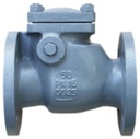 Swing check valve CH030-100
