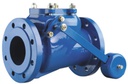 Swing check valve CH049-100