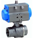 Ball valve with pneumatic actuator BA081-112-D0-A