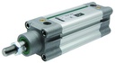 Profilmagnetzylinder PC10-32-200-SRC
