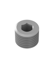 Plug screw 1"