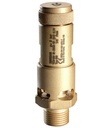 Sicherheitsventil FKM-1/2"-11-6,5