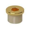 Verschlussschraube TH50-20-B
