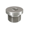 Plug screw 1/2"
