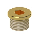 Plug screw TH50-12-B